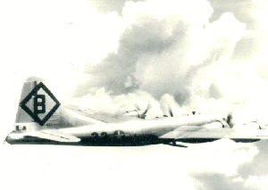 Aircraft of the 315th Bomb Wing, Magic City
